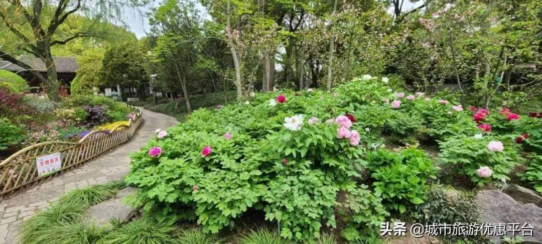 一迳抱幽山，居然城市间。来上海这些古典园林，赏别样春色