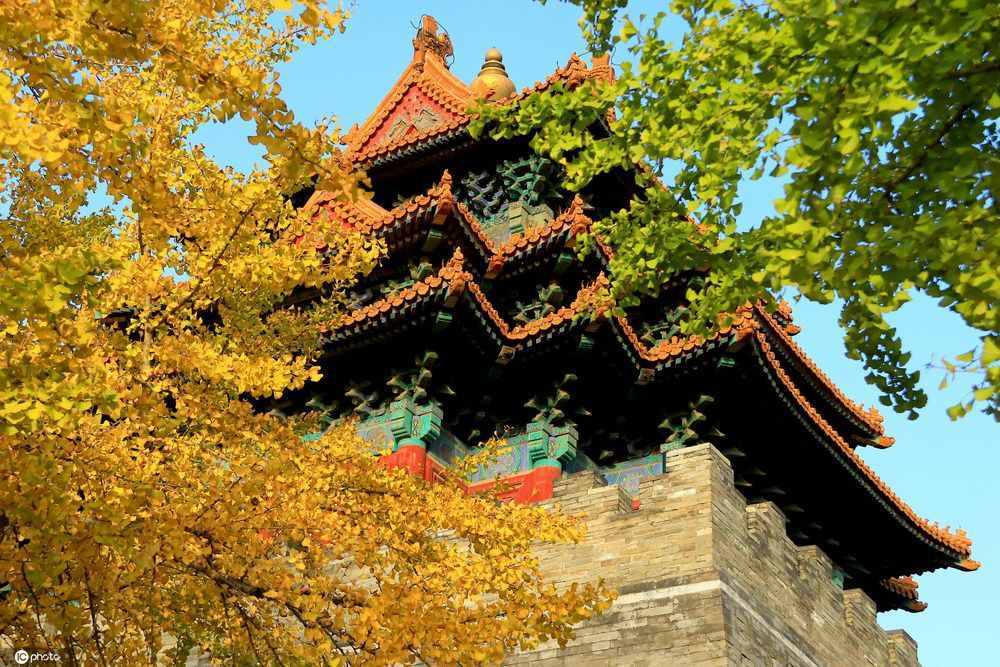 北京的秋天 老舍（北京的秋天）