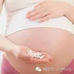 孕期食谱：怀孕五个月吃什么好
