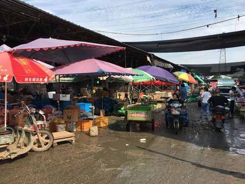 市民心声：脏乱差 芜湖长江市场园农贸市场的环境该变样了！