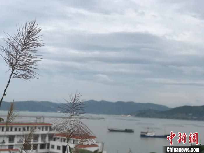 浙江苍南：山海相拥 文旅融合 加速打造浙江美丽南大门