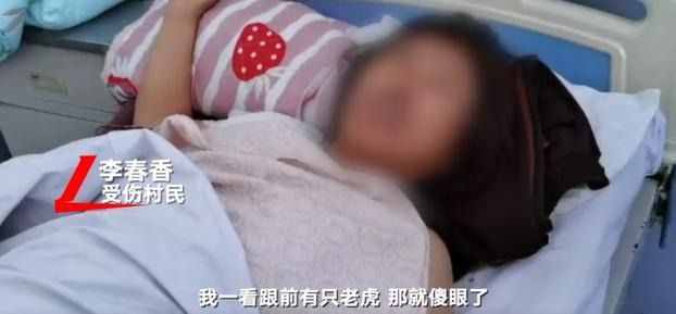 被东北虎咬伤女子还原被扑倒经过，救人司机：把伤者送到家才后怕