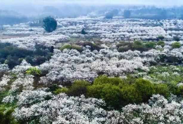 万倾竹海一溪谷，广东最美山村，亚洲最宽的飞瀑，五一出游好去处