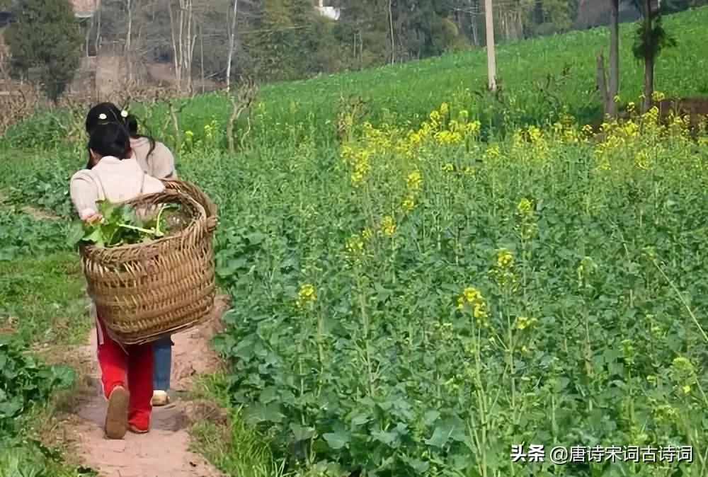 闲寻女伴过西家，斗草归来日未斜