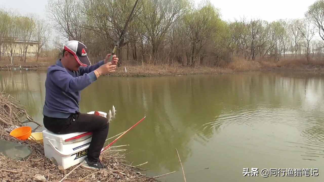 心急吃不了热豆腐，越着急越钓不好，到达水边建议先这样做