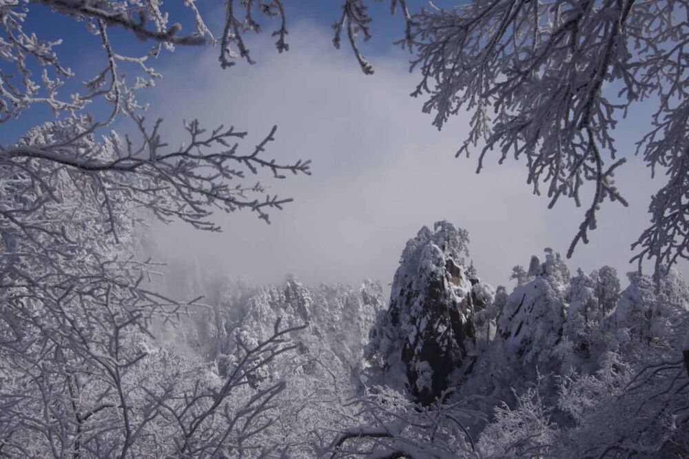 去黄山旅游这样的姿势才是对的