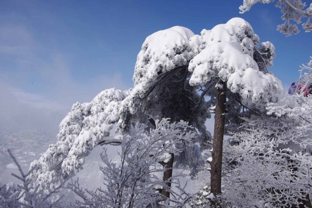 去黄山旅游这样的姿势才是对的