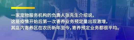 上海人很舍得为它们花钱！“五一”假期宠物寄养一晚要价三四百…网友：比人住酒店都贵...