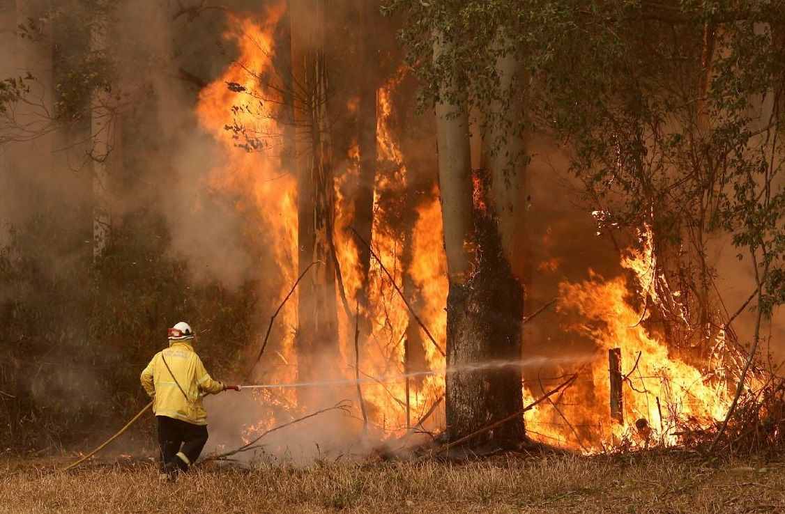 野外发生的“森林火灾”，属于气象灾害还是生物灾害？