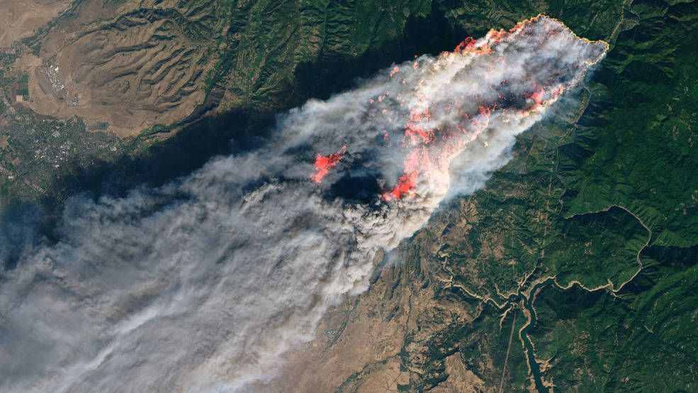 野外发生的“森林火灾”，属于气象灾害还是生物灾害？