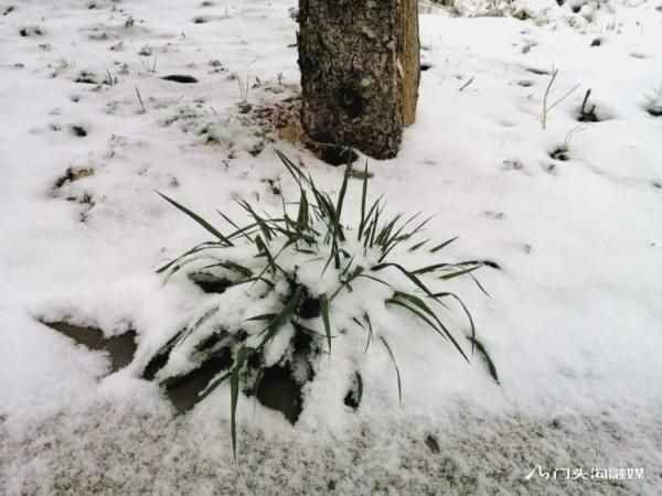 今早，北京、河北多下雪啦