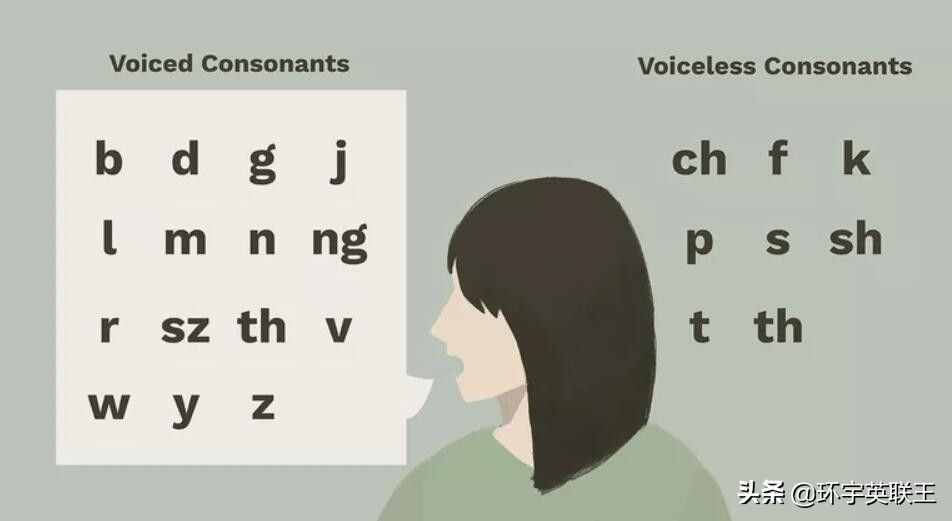 英语辅音是如何分有声辅音和无声辅音，分别是哪些？