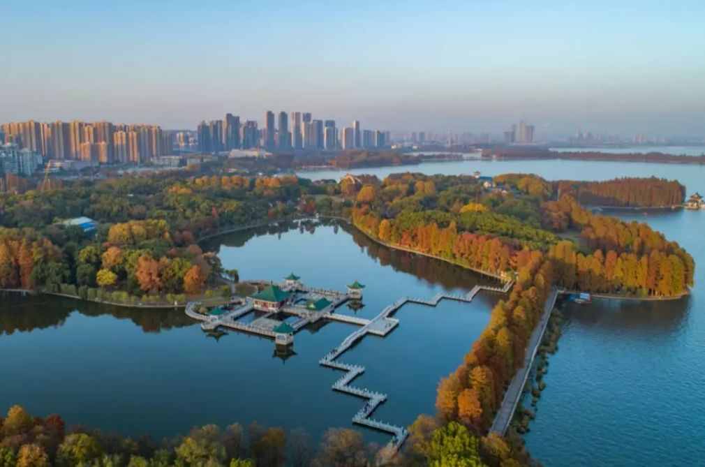 等你来创作！武汉创建国际湿地城市“五个一”内容征集