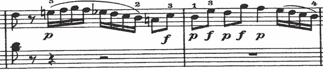 海顿《c小调钢琴奏鸣曲》第一乐章中力度的运用