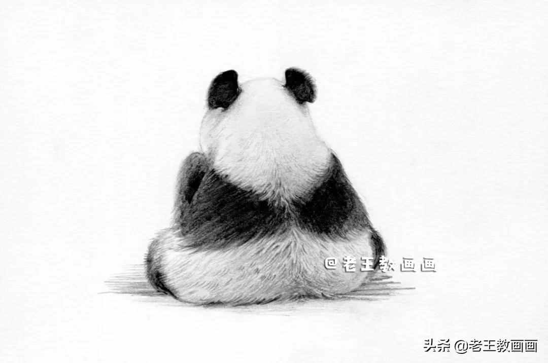 手绘国宝大熊猫，孩子一定喜欢画