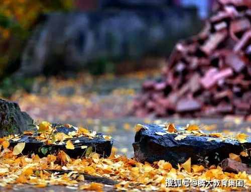 第四届征文大赛 |《一场秋雨》