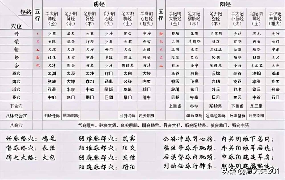 子午流注、灵龟八法、飞腾八法取穴方法（0514）