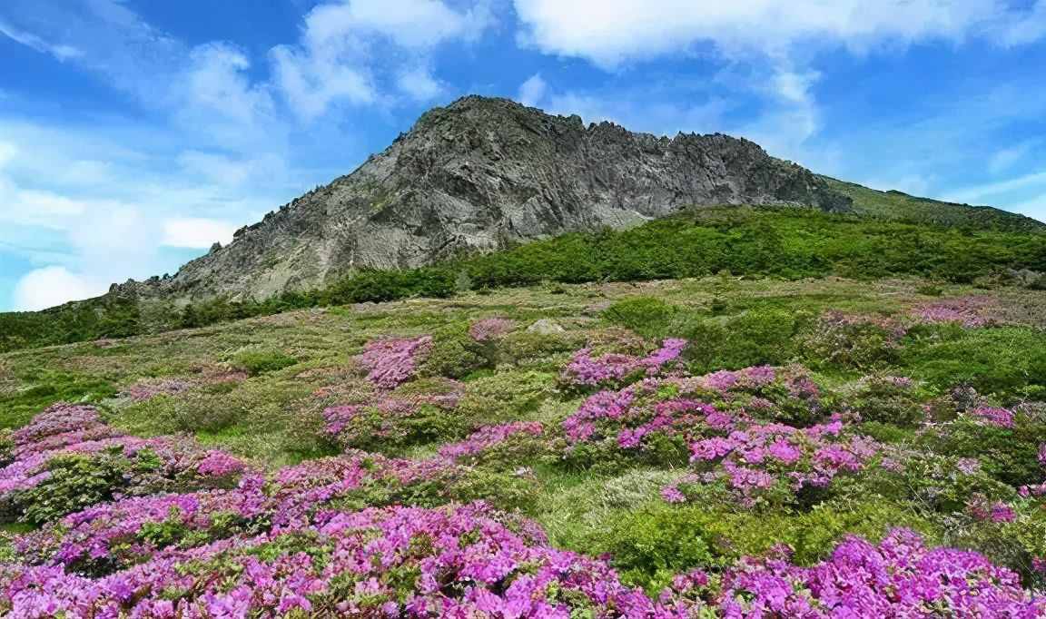 济州岛有哪些景点值得去？