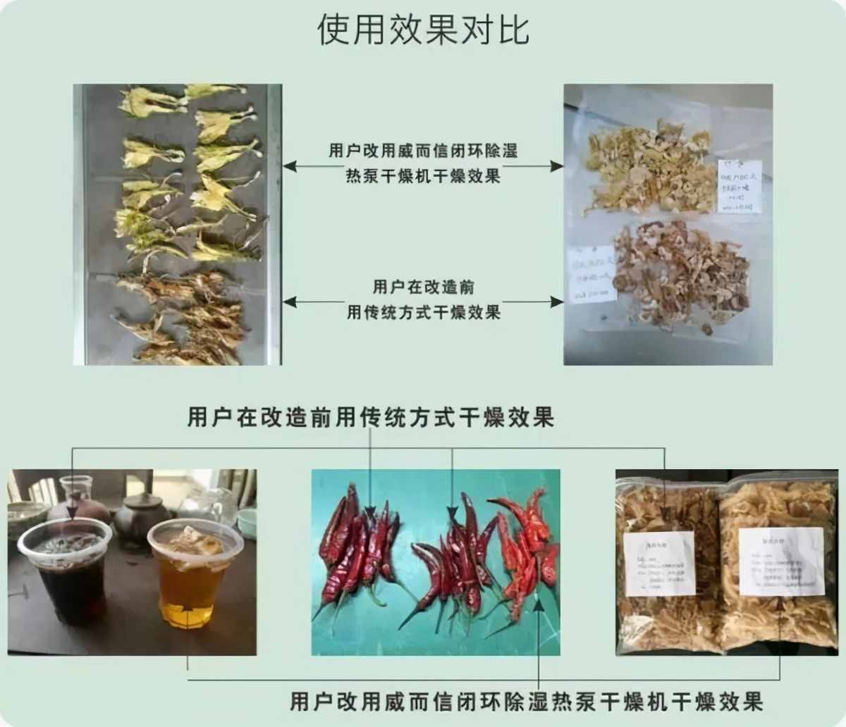 存放食用菌，干燥是关键