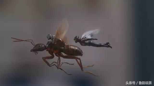 2018高分科幻《蚁人2》1080p.国英双语高清免费下载