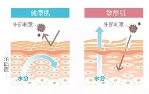 理性护肤｜不做烂脸女孩！敏感肌护肤10大要点