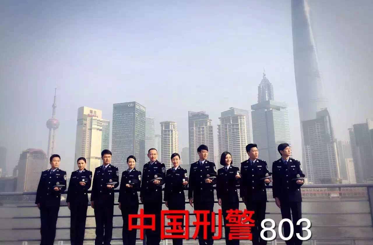 再一波公安警匪题材电视剧，8部中你都追过哪几部？