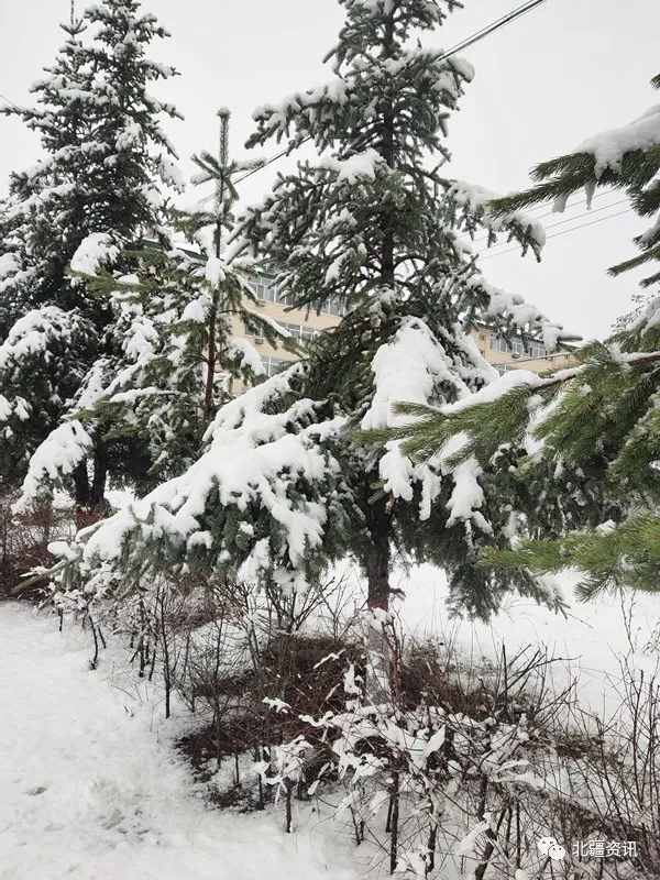 内蒙古根河市满归镇5月下大雪，奉上最美雪景图