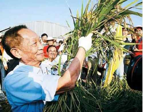 袁隆平高考果断跳进“农门”，成功秘诀是知识、汗水、灵感和机遇