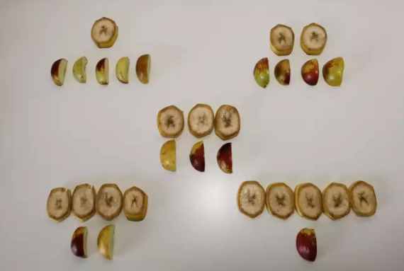 网传香蕉不能和冬枣一起吃？看看这个实验你就知道了！