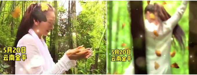 63岁杨丽萍山谷与蝴蝶共舞，一身白袍仙气足，却遭网友批破坏生态