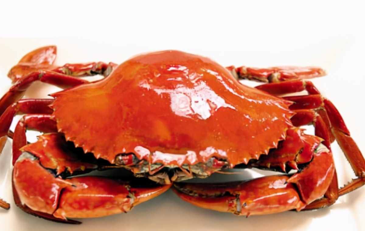 网友都感叹吃个螃蟹太难了，吃螃蟹有怎样的技巧？