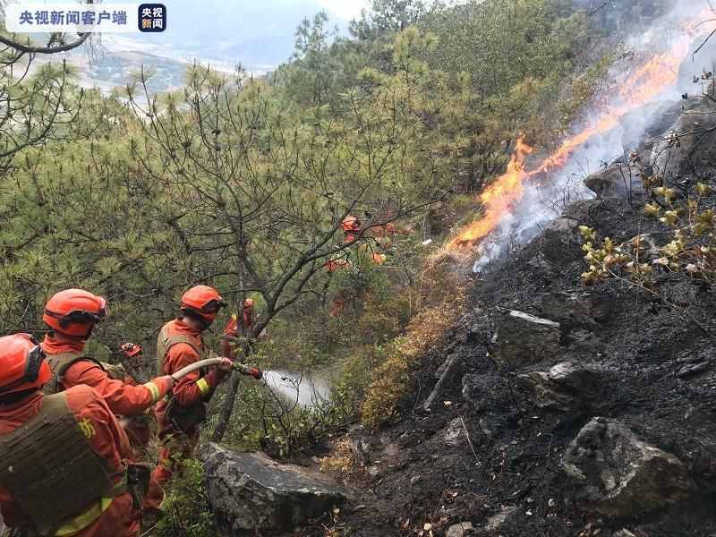 四川凉山冕宁县发生森林火灾 多方力量协同作战扑救进行中