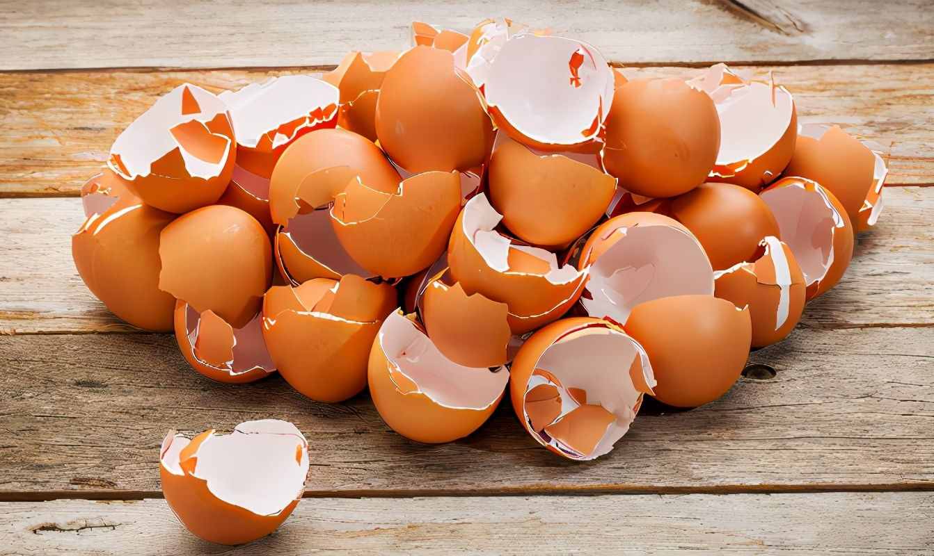 蛋壳的营养、制肥方法、养花的好处，大家知道多少？