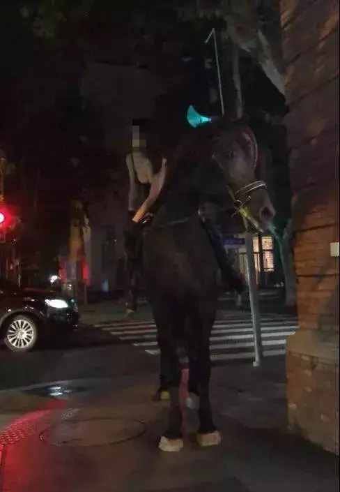 吊带衫小姐姐你很酷~但你深夜在上海市中心主干道骑马就不对了！