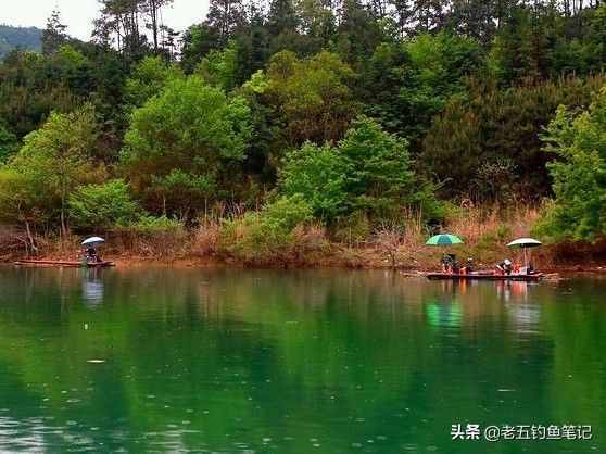 黄山太平湖垂钓指南，钓黄尾鯝一马当先，美景与鱼可以兼得