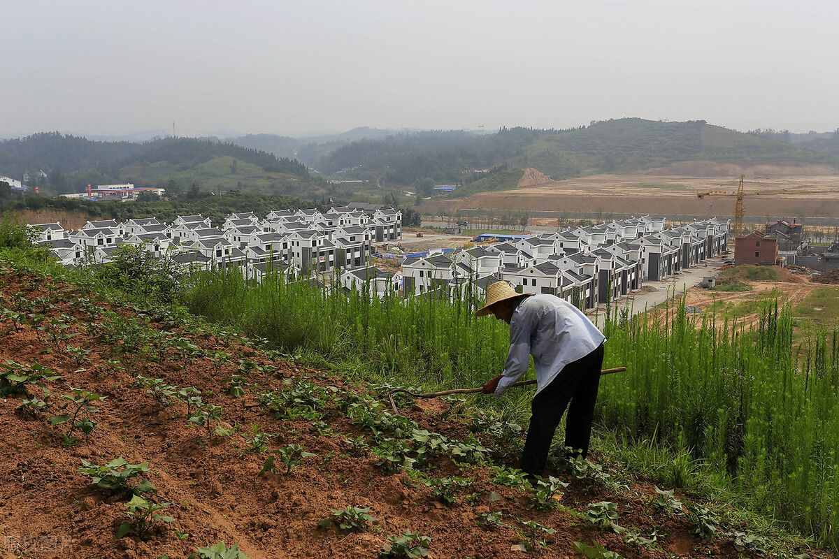 律师提醒：土地确权纠纷应当这样解决！千万不要再个人私了了