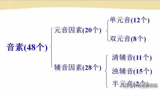 英语音标自己也会教孩子了！很简单的音标学习教程分享给大家！