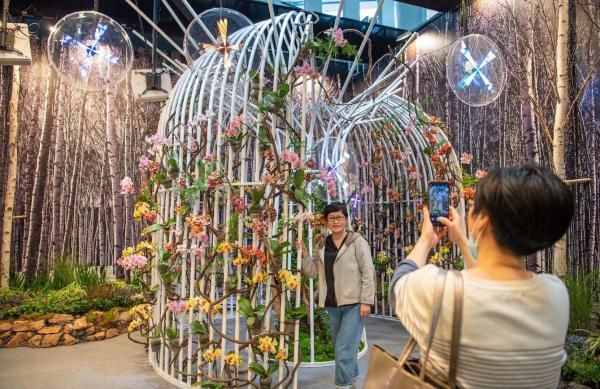 全市有1万余家花店，鲜切花年消费量国内最大……上海这些“花事”你了解吗？