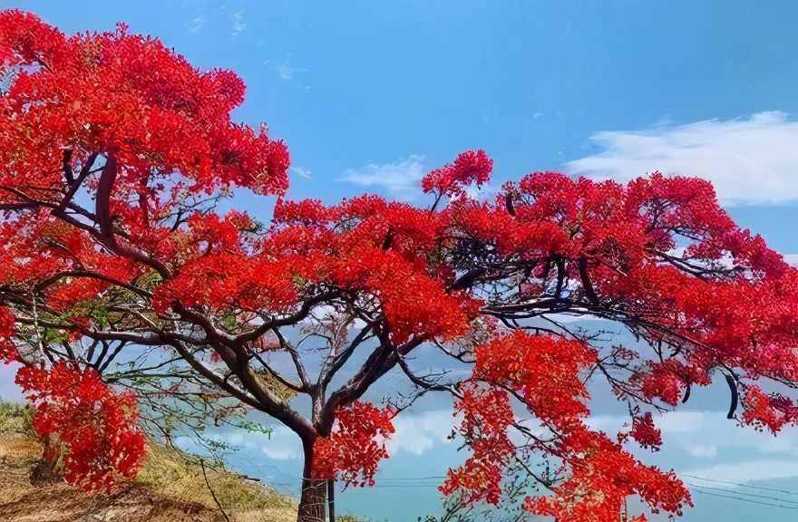 最美程海！一半是海水，一半是火焰