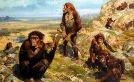 260万年前发现神秘石器，那时人类还没出现，究竟是谁制造的？