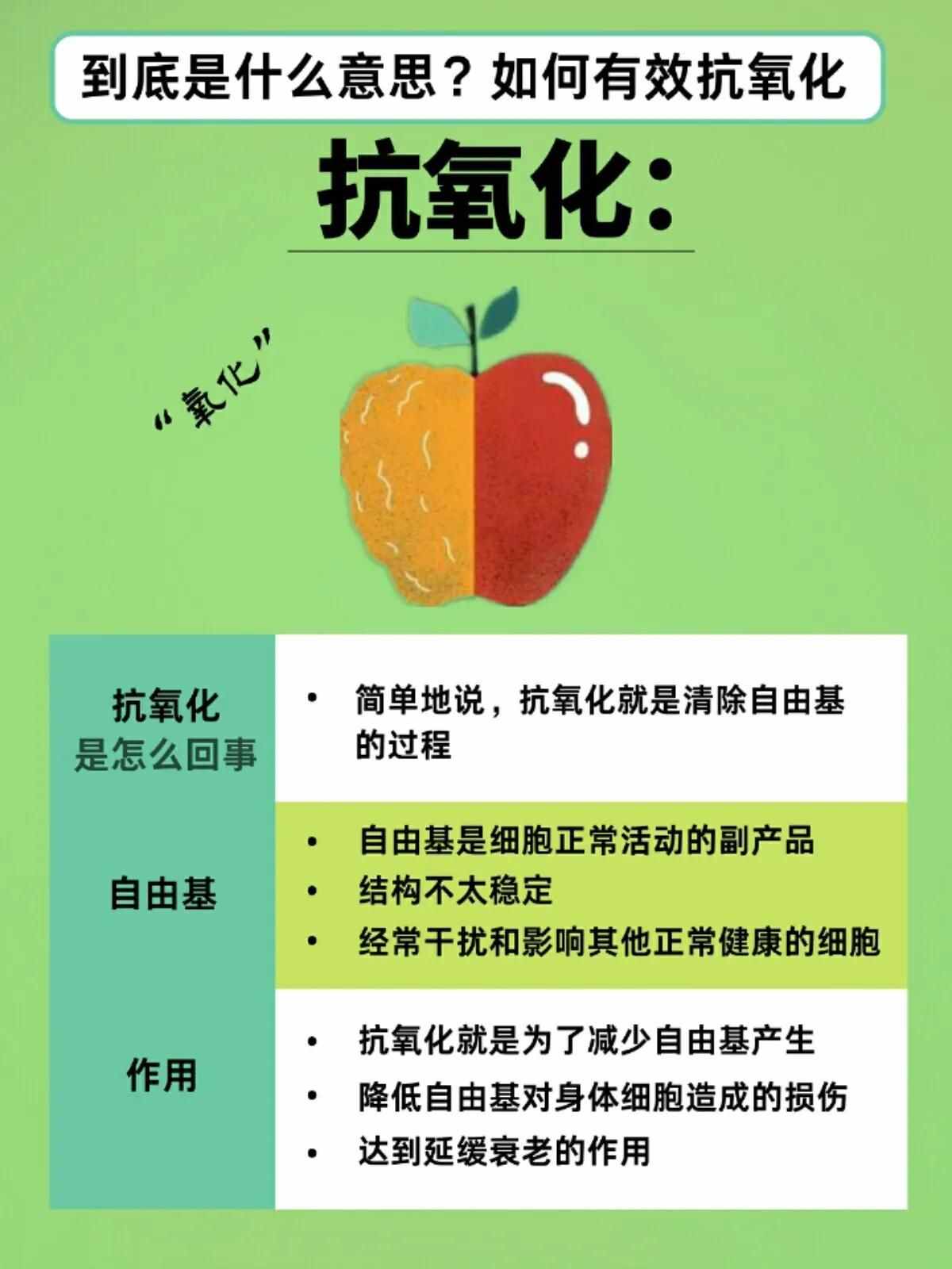 抗氧化到底是什么意思|如何有效抗氧化