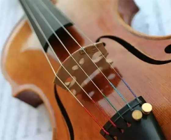 小提琴的类型有哪些？五弦琴听说过吗？