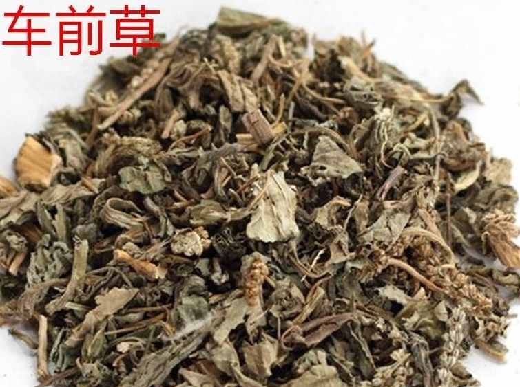 《本草精荟》：利水通淋：车前子（车前草）的功效与应用