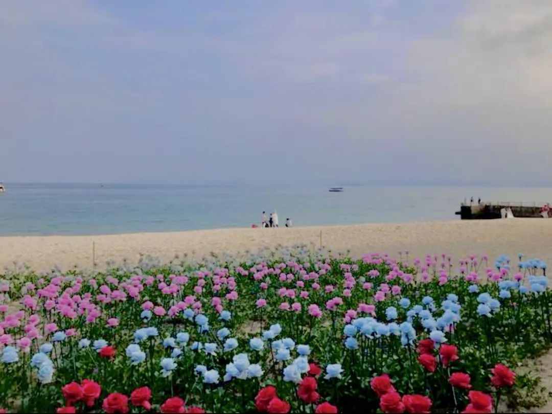 深圳7个最美海滩最强攻略，吃玩住全齐了
