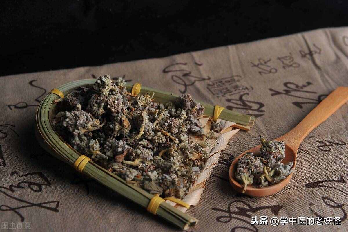 厥阴肝家之正药——密蒙花