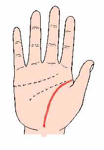 1、掌纹知健康——生命线，长？短？到底表示什么？
