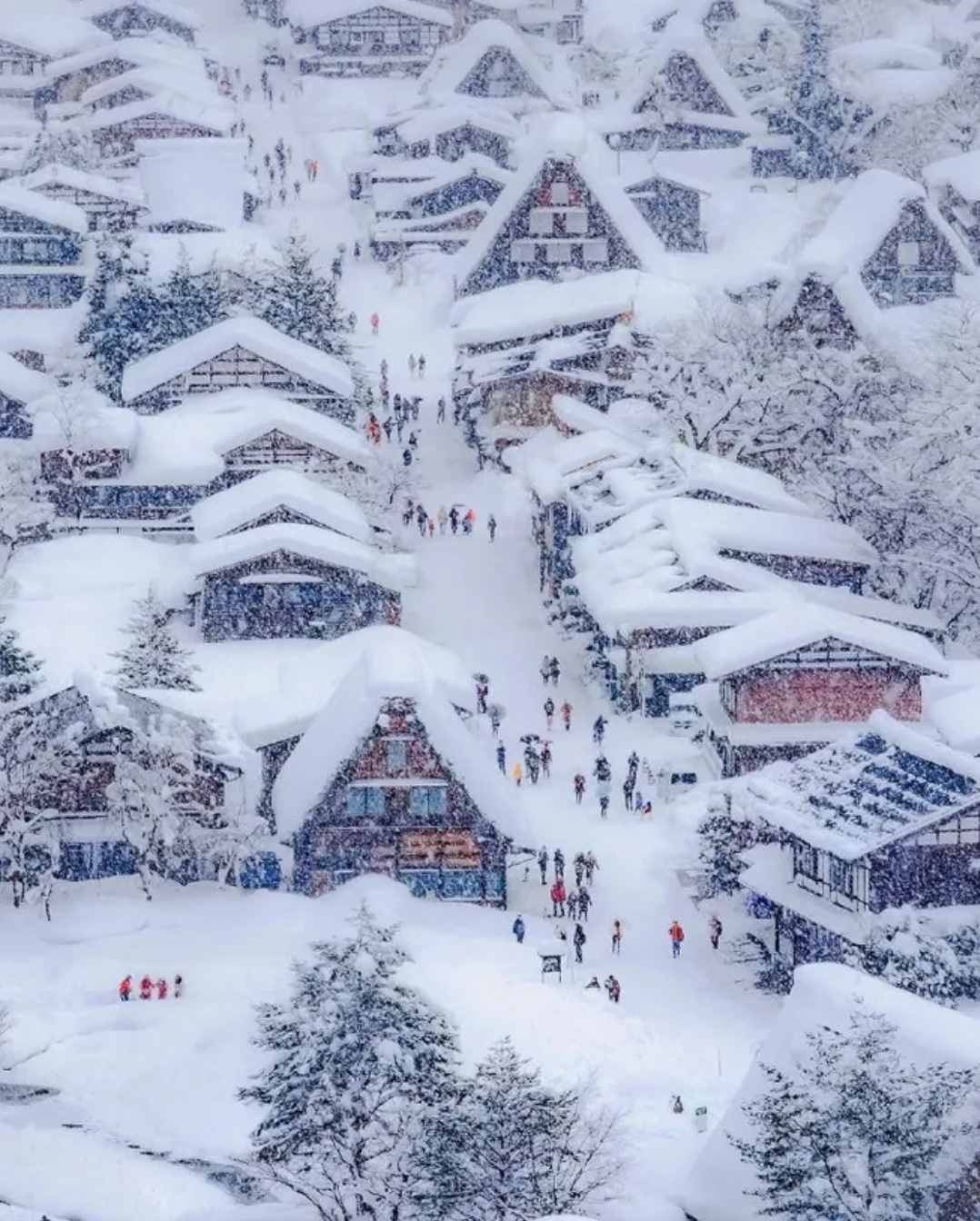 「诗词鉴赏」十首写雪后景色的诗词，看雪后银装素裹的童话世界