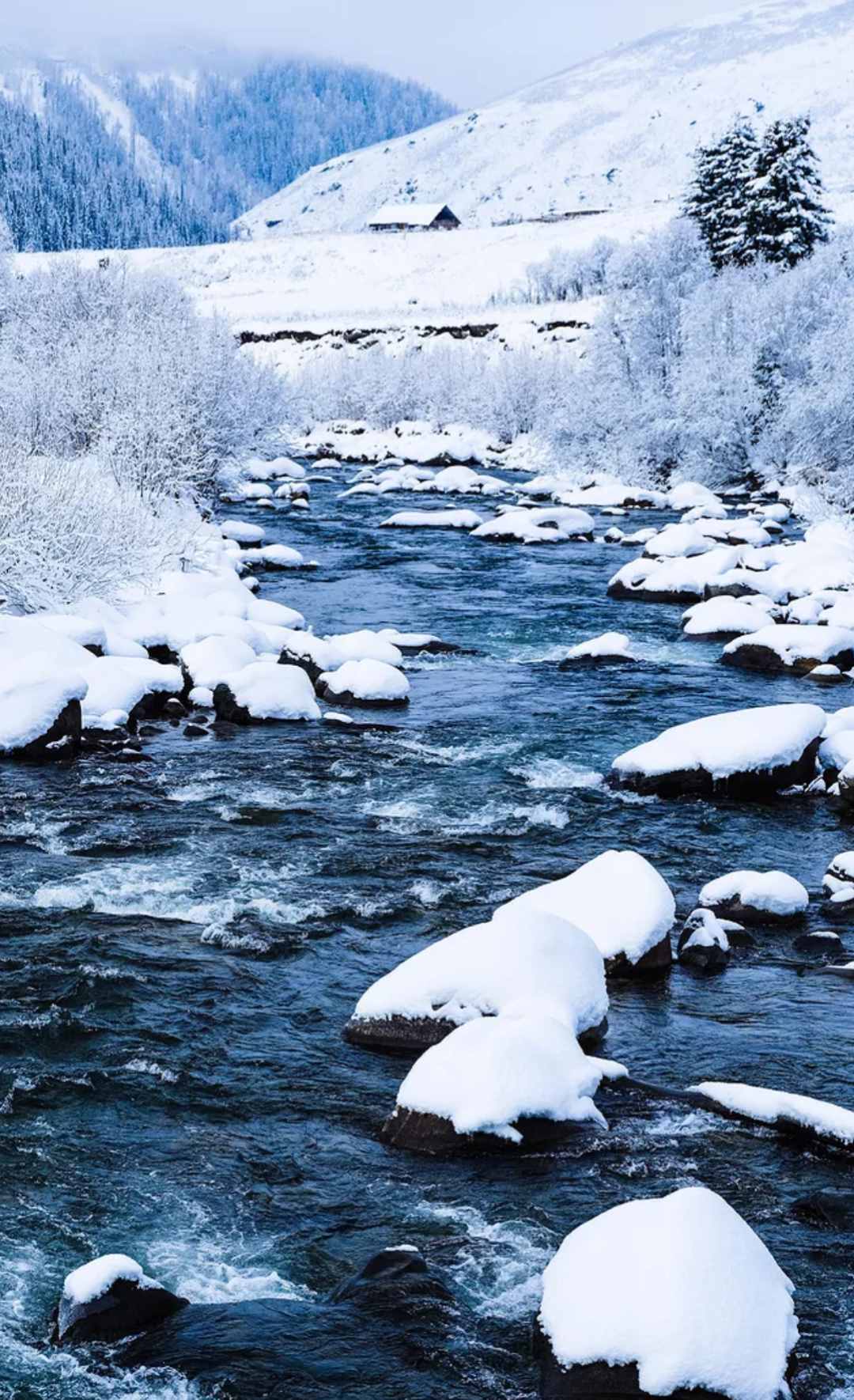 「诗词鉴赏」十首写雪后景色的诗词，看雪后银装素裹的童话世界