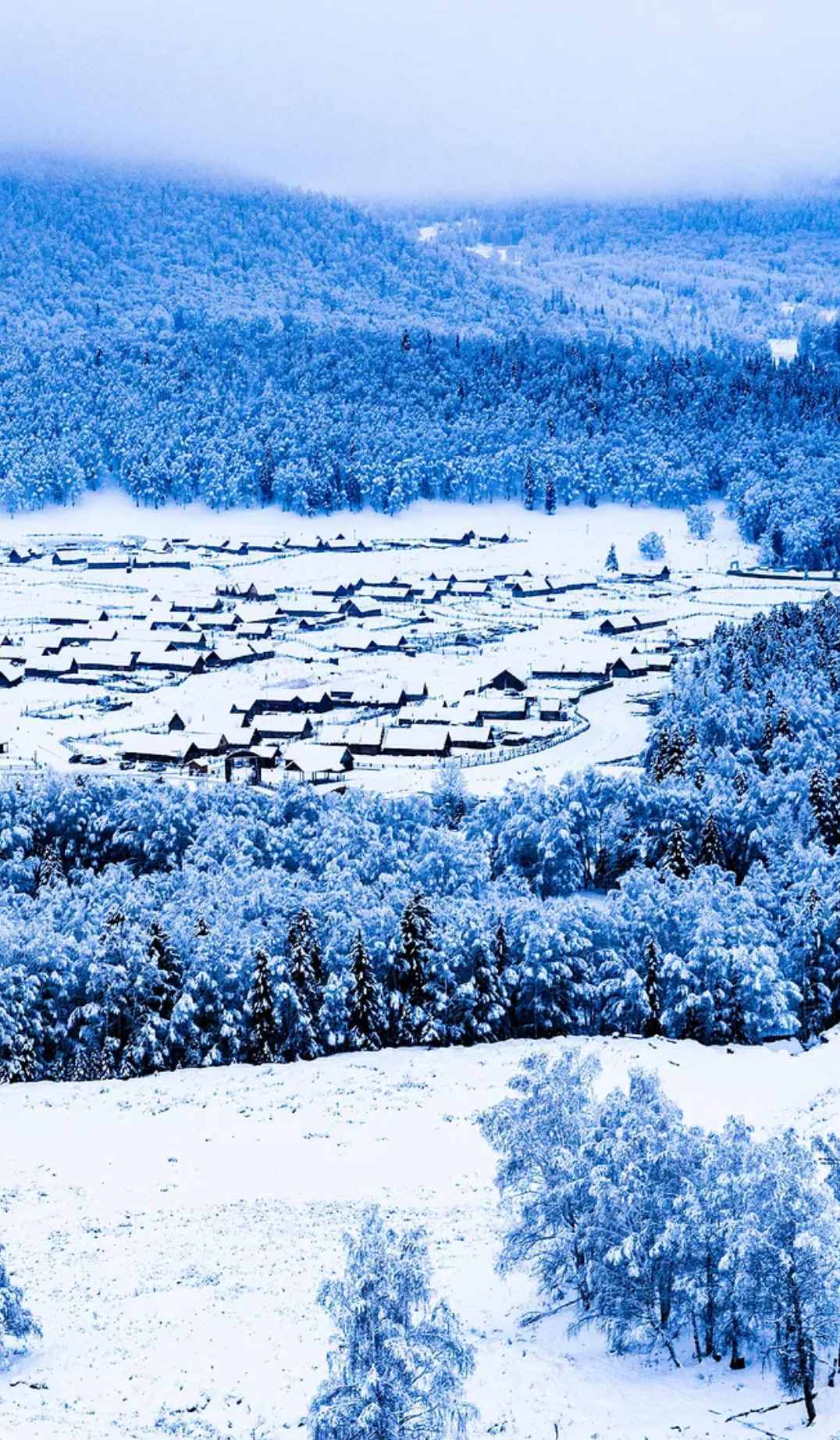 「诗词鉴赏」十首写雪后景色的诗词，看雪后银装素裹的童话世界