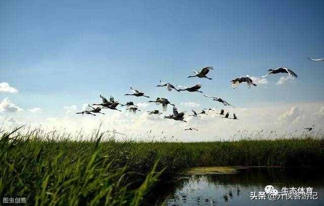中国十大最美湿地，你都知道哪些呢？